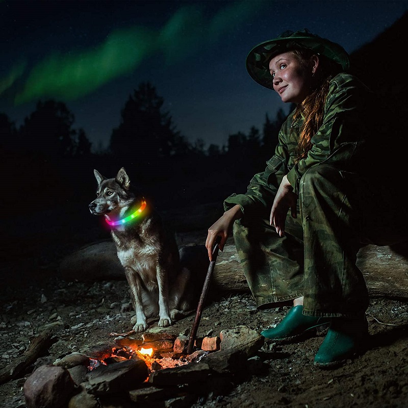 Low MOQ for Nylon Led Collar For Dogs – High Quality Waterproof Super Bright Lamp Beads Various Color Changes to Prevent Lost Led Pet Collar – Longstar detail pictures