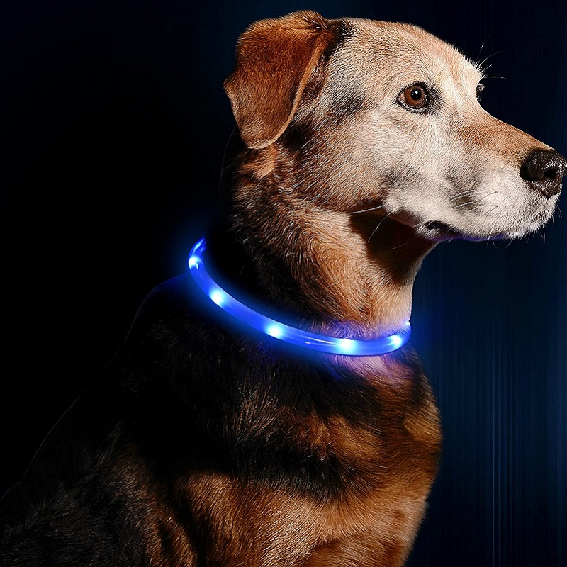 Low MOQ for Nylon Led Collar For Dogs – High Quality Waterproof Super Bright Lamp Beads Various Color Changes to Prevent Lost Led Pet Collar – Longstar detail pictures