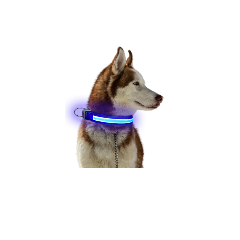 Factory source Usb Charging Led Dog Collar Anti-Lost - Class 7 Waterproof Pet Collar Adjustable Size Night Lighting USB Charging Mode Repeated Use LED Collar – Longstar detail pictures