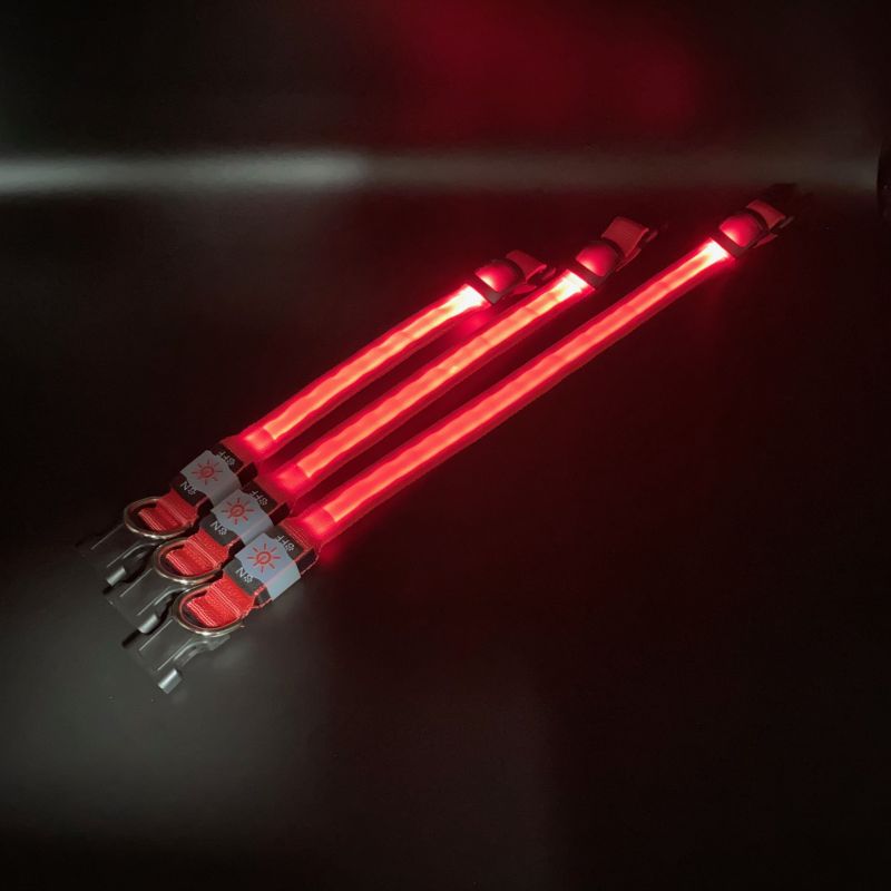 Professional China Led Dog Collar Programmable - Led nylon collar – Longstar detail pictures