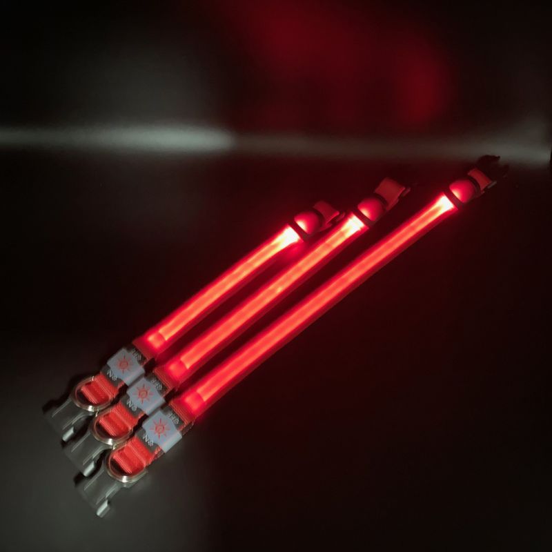 Professional China Led Dog Collar Programmable - Led nylon collar – Longstar detail pictures