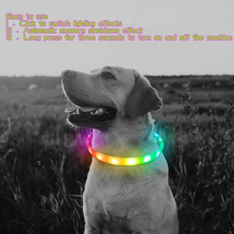 China wholesale Dog Led Recharging Collar - Pet factory direct sales new high-quality monochrome seven-color pet safety special to prevent loss night glow adjustable USB – Longstar detail pictures