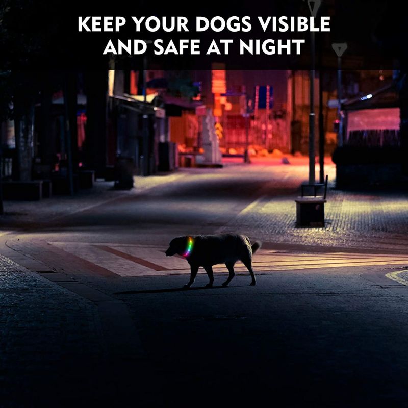 China wholesale Dog Led Recharging Collar - Pet factory direct sales new high-quality monochrome seven-color pet safety special to prevent loss night glow adjustable USB – Longstar detail pictures